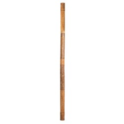 Terré Maori 150 cm — lietus koks Terré Maori 150 cm — lietus koks