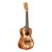 Kala KA-GARDENIA-C — koncerta ukulele ar somu Kala KA-GARDENIA-C — koncerta ukulele ar somu