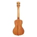Kala KA-GARDENIA-C — koncerta ukulele ar somu Kala KA-GARDENIA-C — koncerta ukulele ar somu