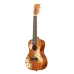 Kala KA-HIBISCUS-C — koncerta ukulele ar somu