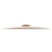 Zildjian 21 Zildjian 21