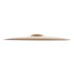 Zildjian 20 Zildjian 20