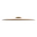 Zildjian 22 Zildjian 22