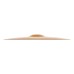 Zildjian 20 Zildjian 20